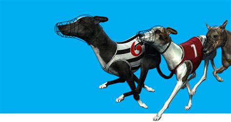 the greyhound channel live.